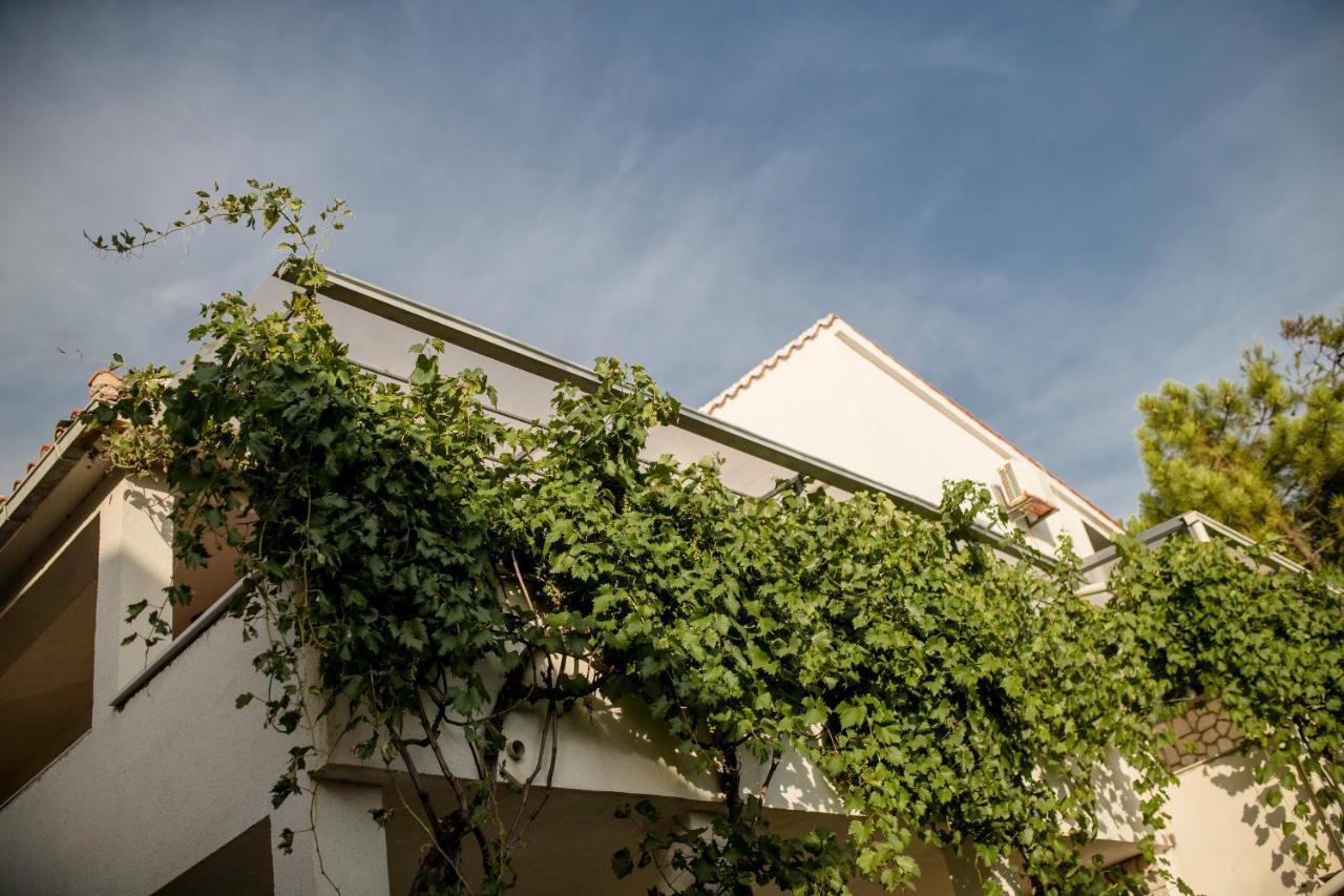 קולאן Guesthouse Sime מראה חיצוני תמונה